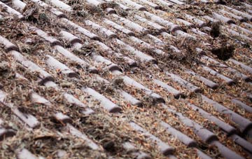 Fowlis Wester roof cleaning companies